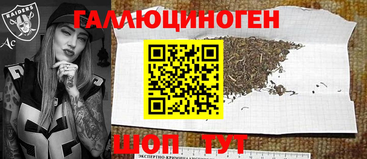 Нефтекумск  Галлюциногенные грибы Psilocybe  цены наркотик  Псилоцибиновые грибы мицелий  Вход с VPN 